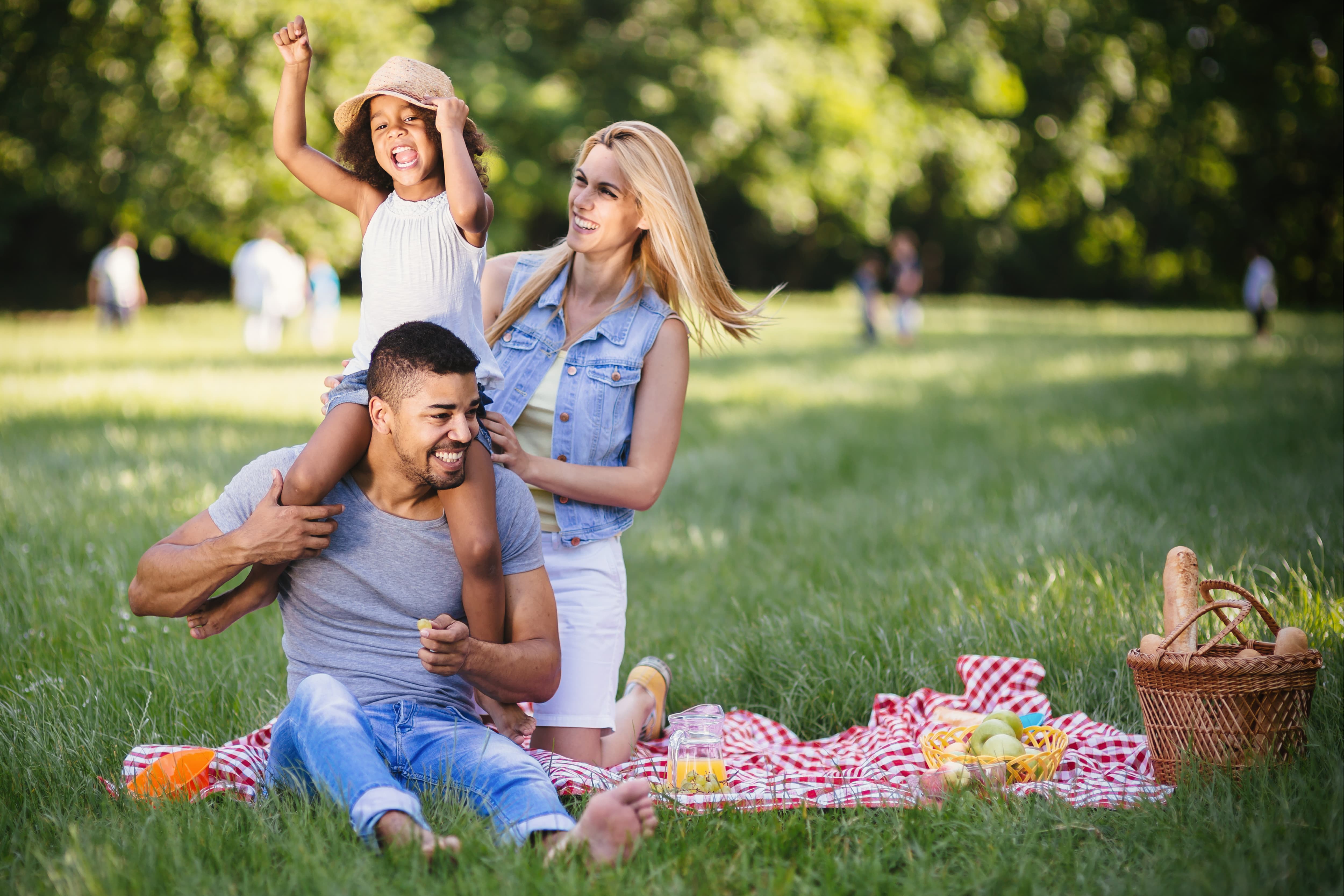 family on a budget picnic