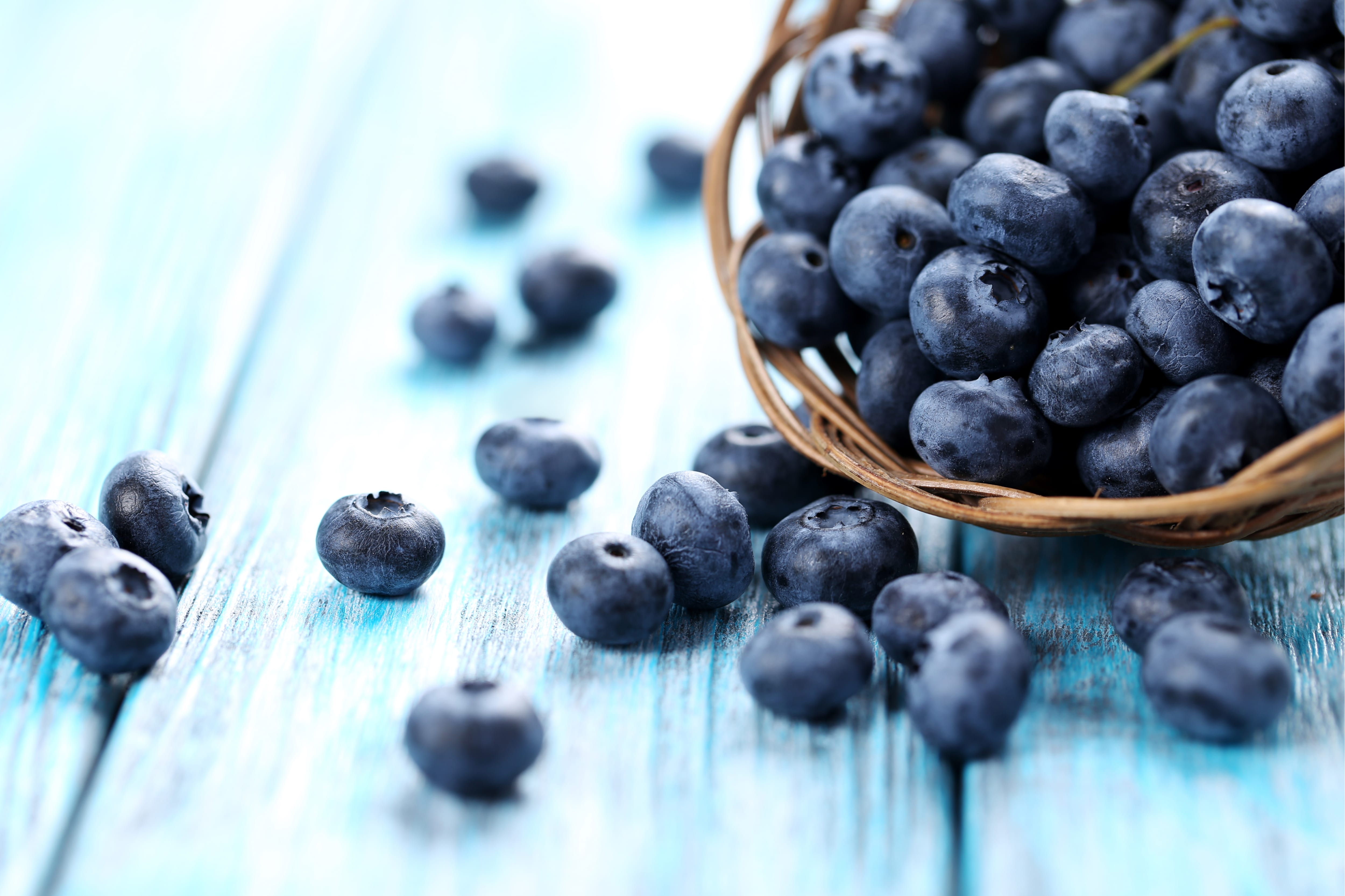 bucket of blueberries